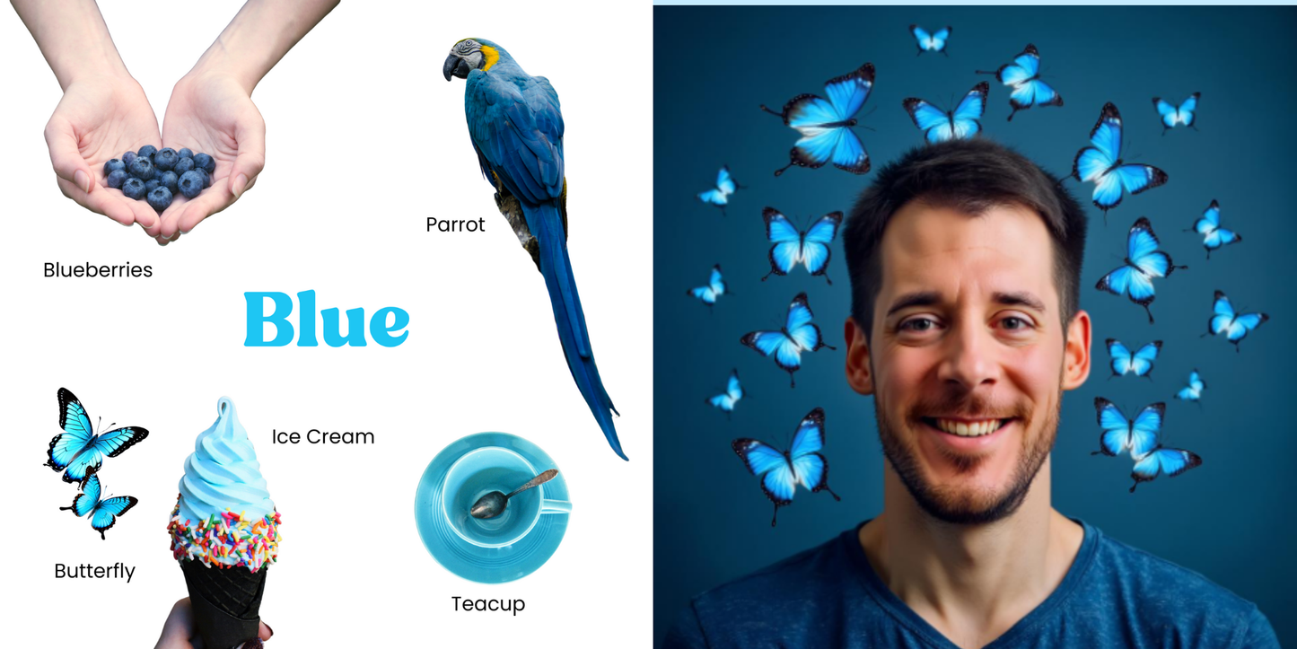 Colours Board Book