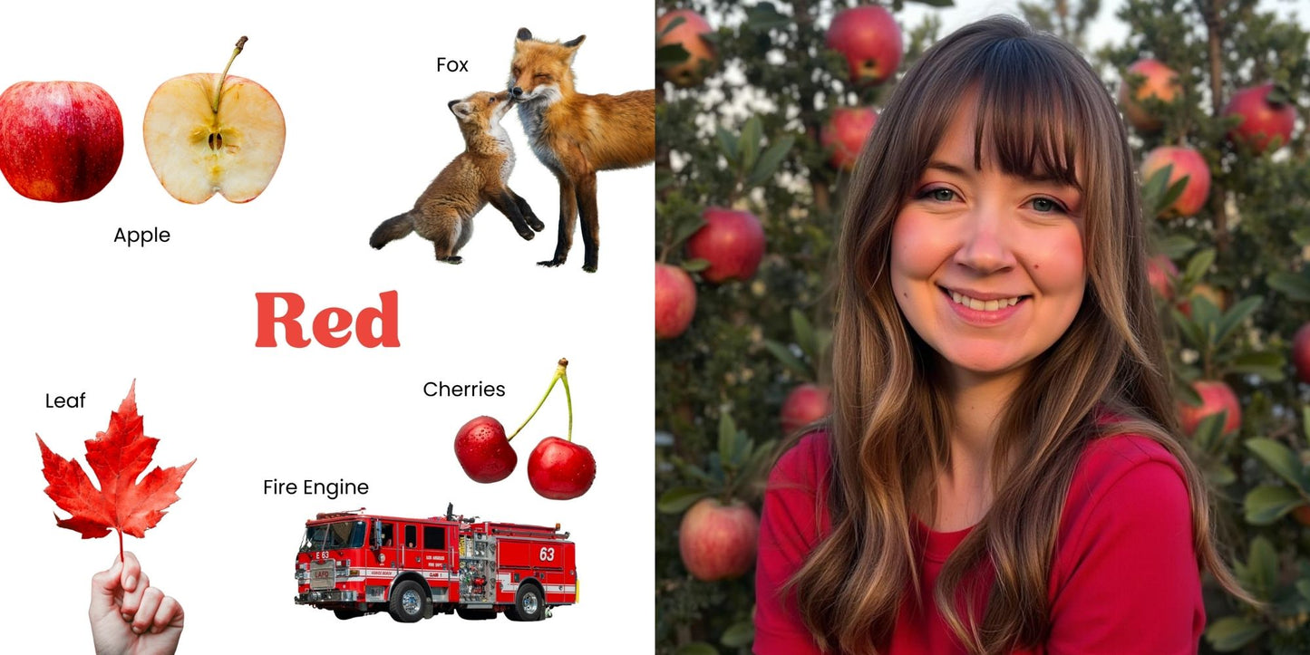 Couleurs – imagier cartonné