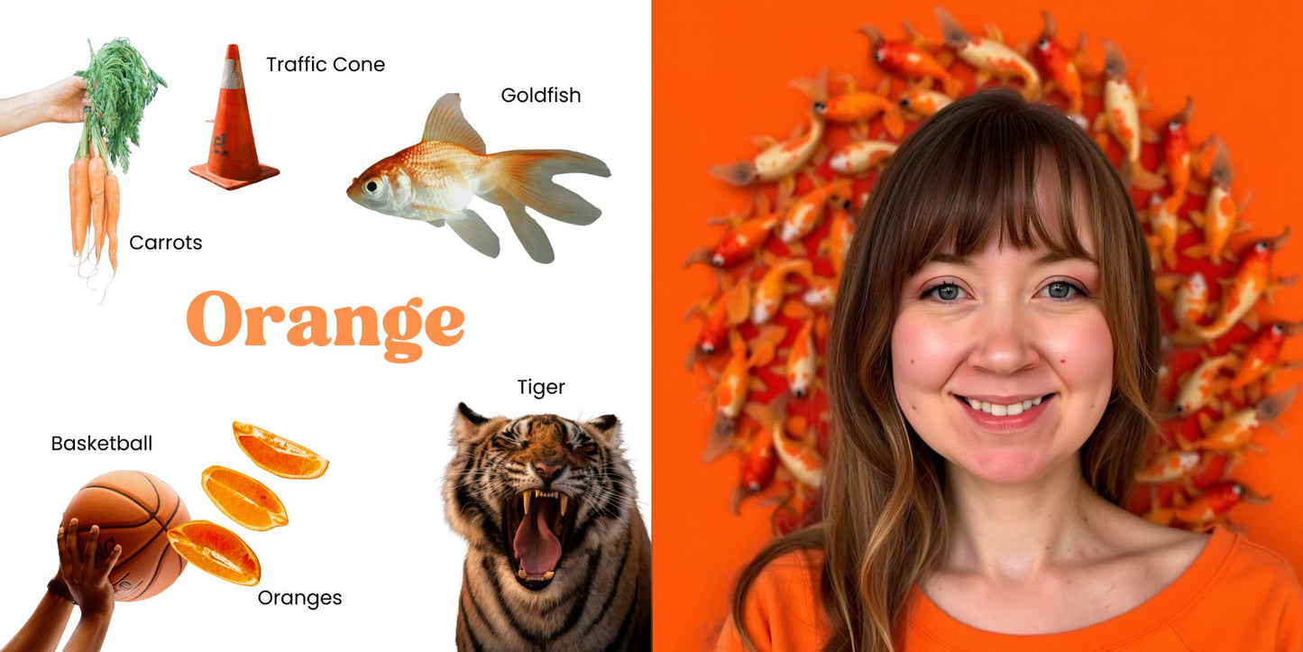 Couleurs – imagier cartonné