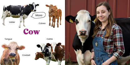 Farm Animals Board Book