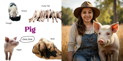 Farm Animals Board Book