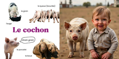 Farm Animals · Personalised Picture Book