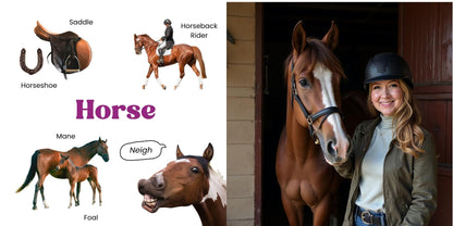 Animaux de la ferme – imagier cartonné