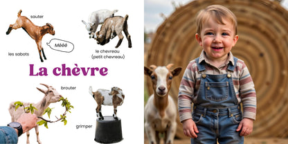 Farm Animals · Personalised Picture Book