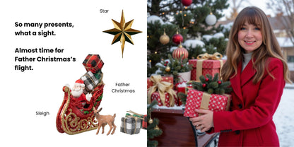 Noël - édition limitée