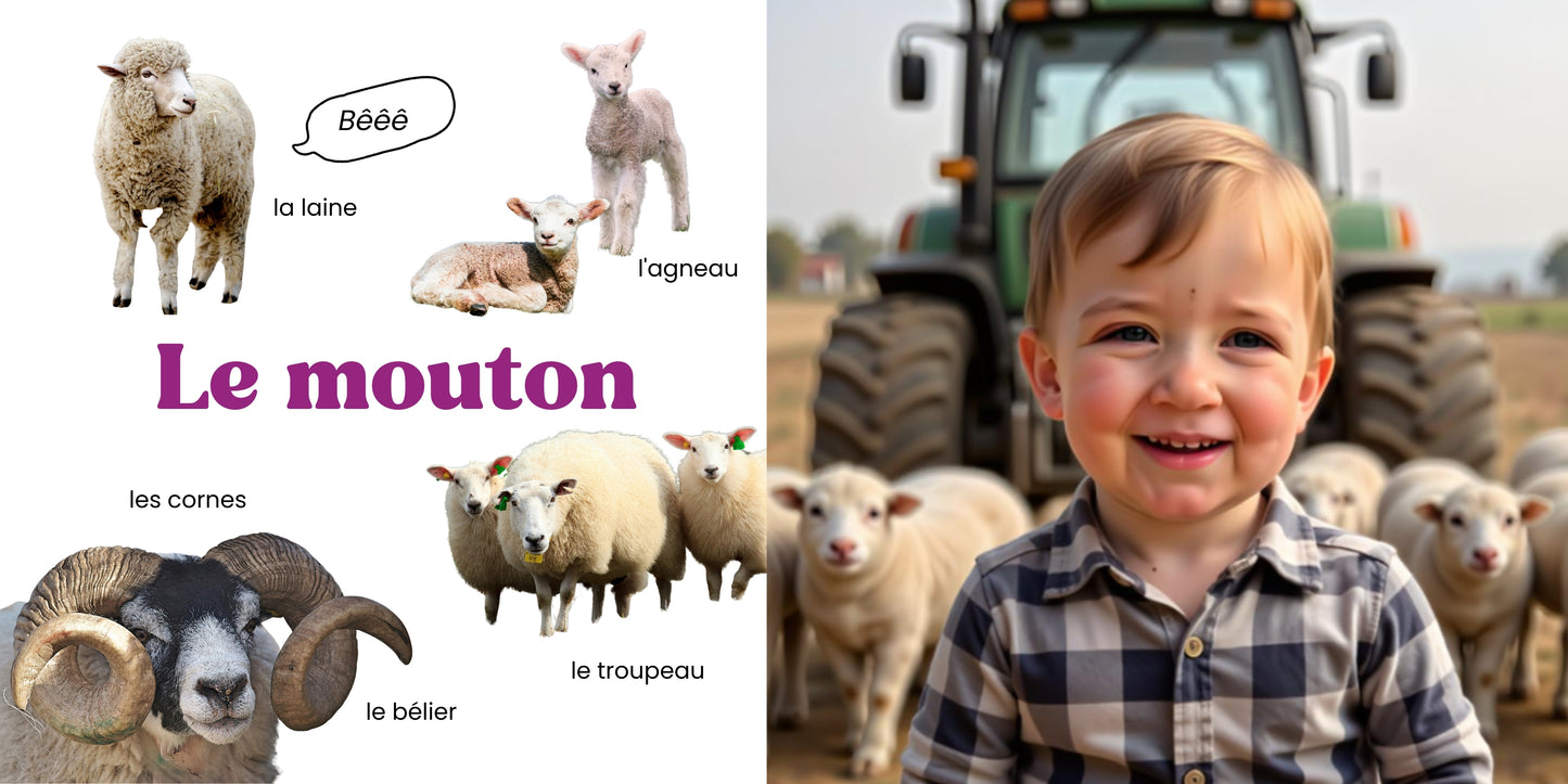 Farm Animals · Personalised Picture Book