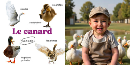 Farm Animals · Personalised Picture Book